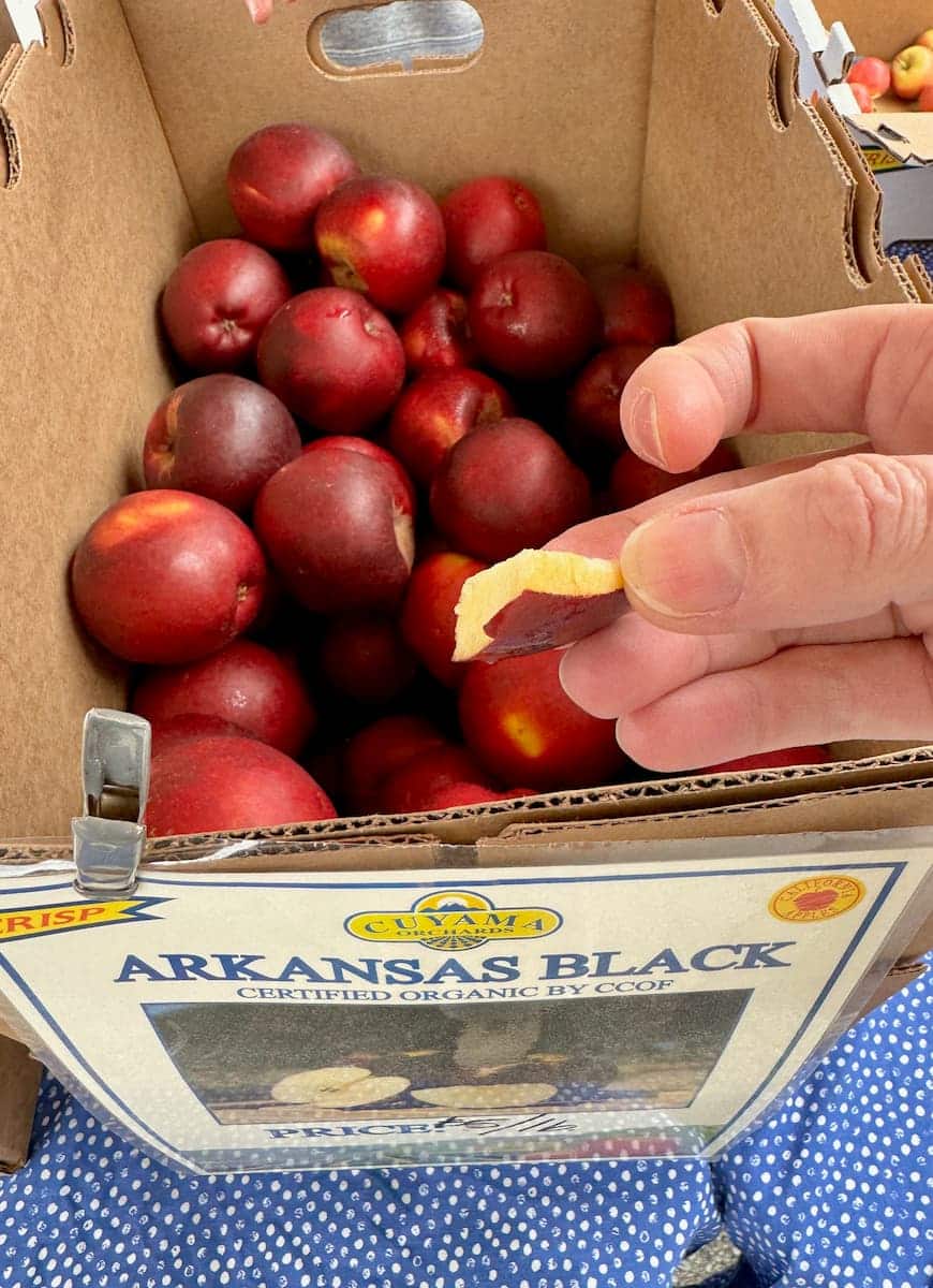 holding a piece of Arkansas black apple, the darkest apple due to its dark skin