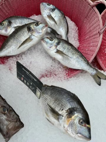 Sea bream fish (easy Provençal recipe)