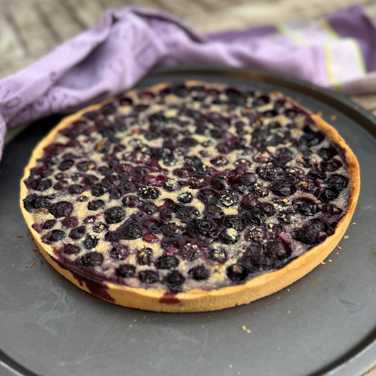 Blueberry tart in a sweet pastry crust baked in the oven with a vanilla custard