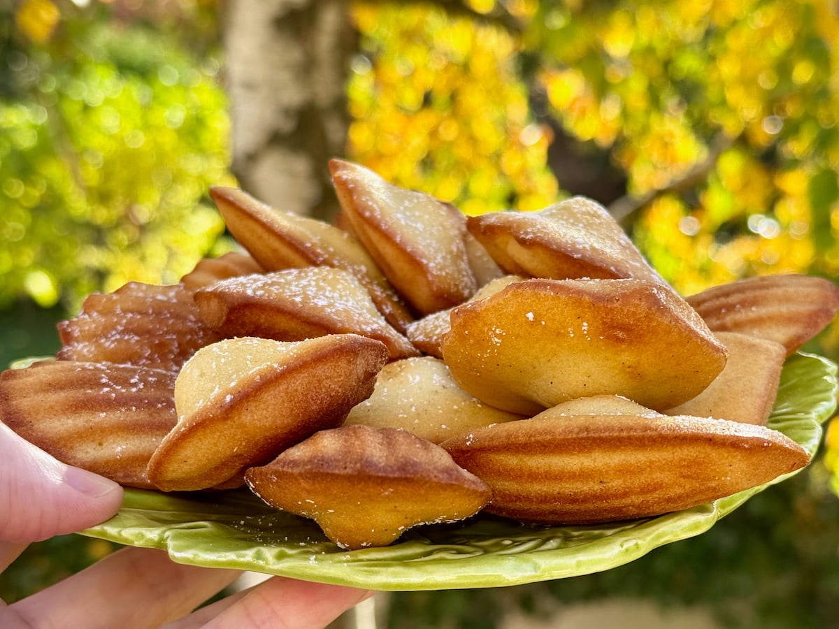 plate of golden scalloped madeleines cakes in the sunshine