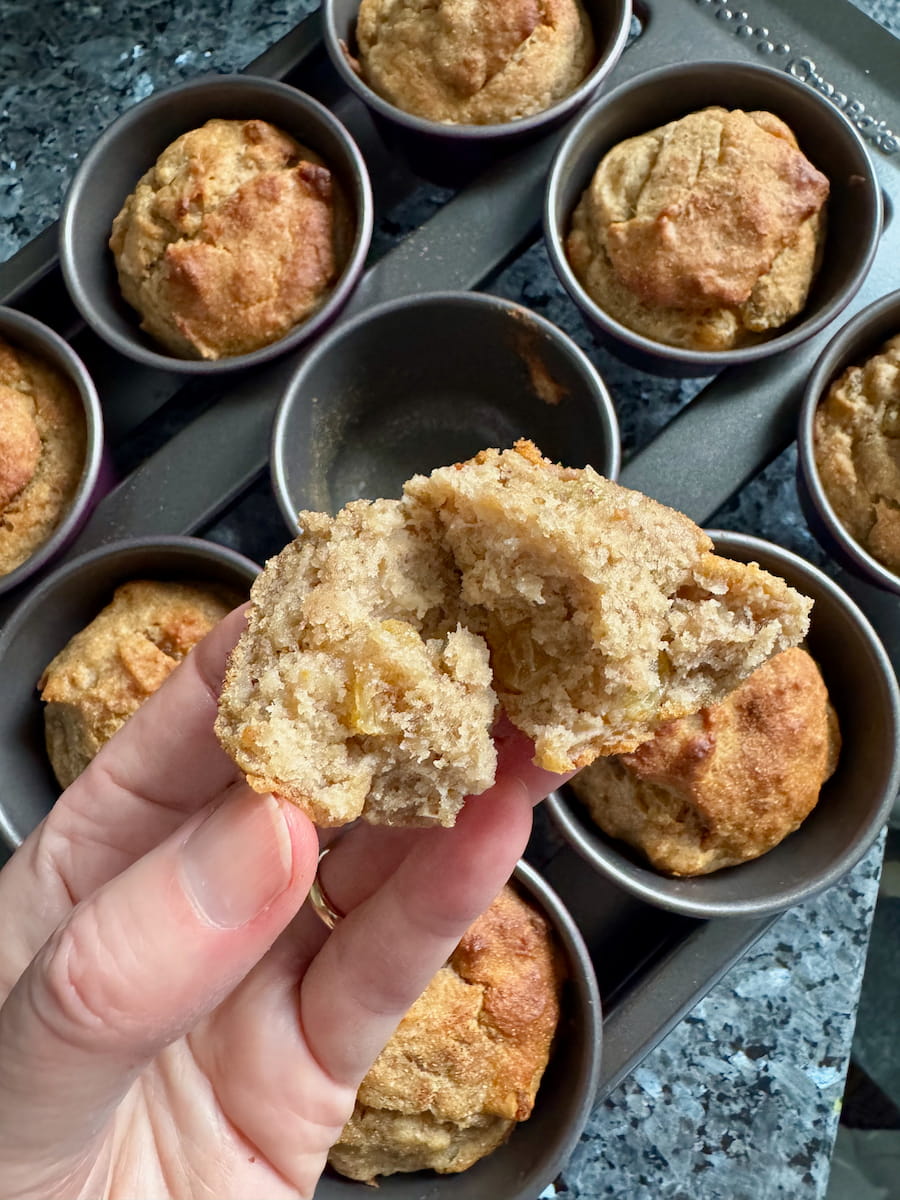opening a soft and moist muffin with golden raisins just out of the oven