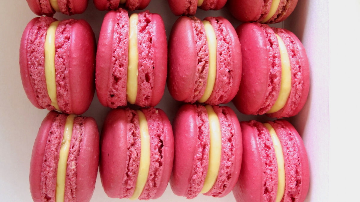two rows of bright pink macaron shells with a white chocolate ganache filling showing perfectly ruffled feet