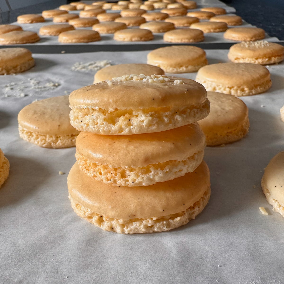 a natural macaron shell with a clear hollow space between the foot and the top 