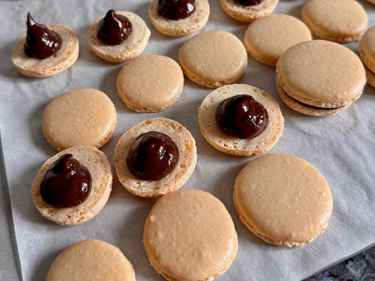 rows of paired macaron shells with one half piped with dark chocolate ganache before sandwiching together