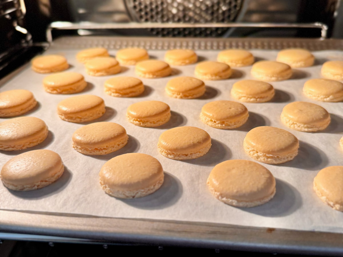 rows of perfect French macaron shells baking in the oven showing little ruffled feet